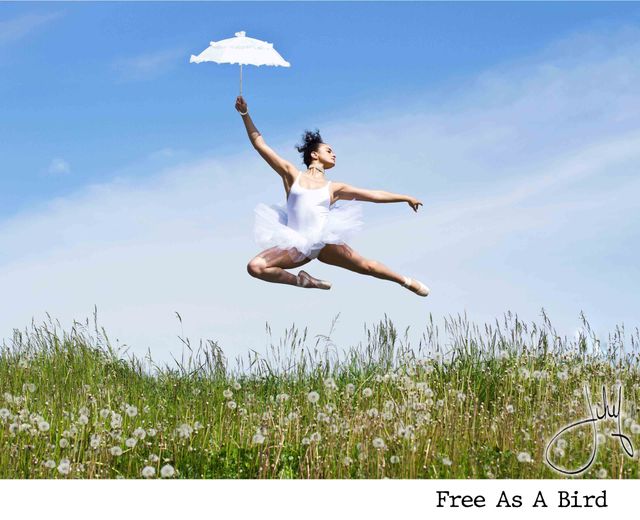 Free As A Bird — photographie pop art par Jihef